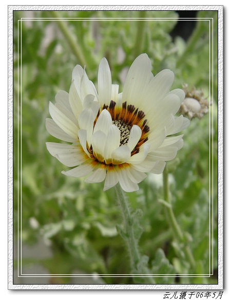 ����ƪ----�¹���������