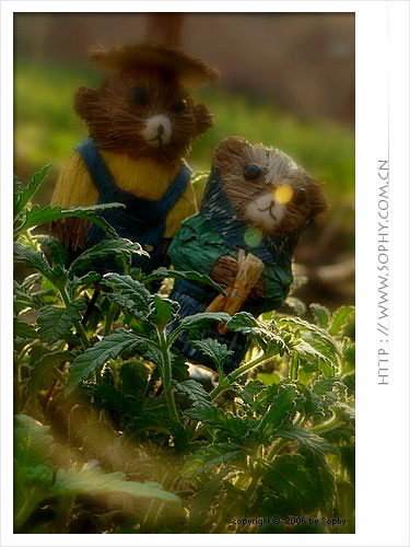 ��ʳ���������û�������(���������)