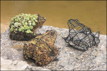 ��ʳ���������û�������(���������)