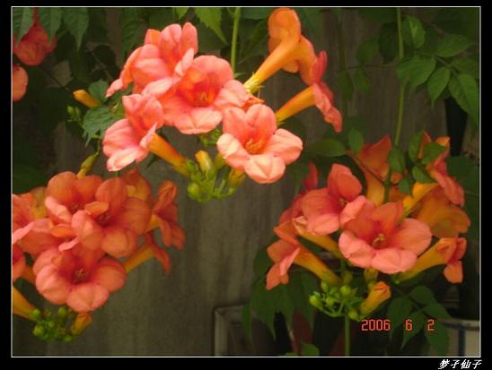 �ҵķۻ�����