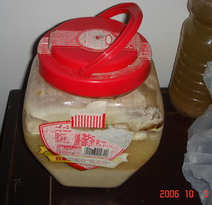 ��ͥŽ�� ~����ʵ�MM�������������£�