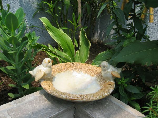 ��ʳ���������û�������(������԰СƷ)