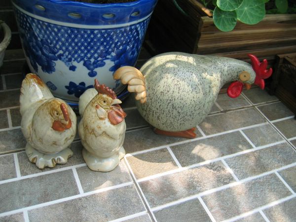 ��ʳ���������û�������(������԰СƷ)