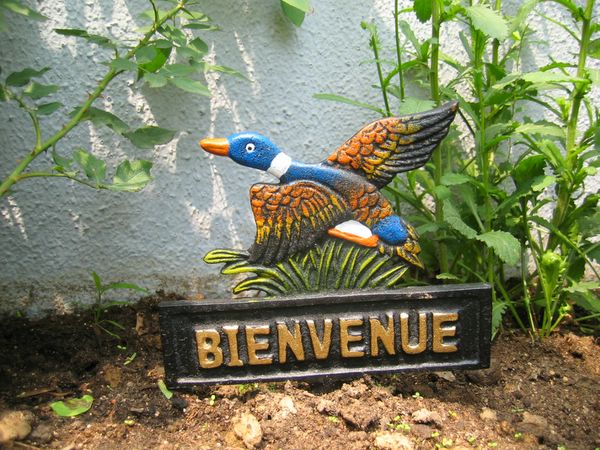 ��ʳ���������û�������(������԰СƷ)