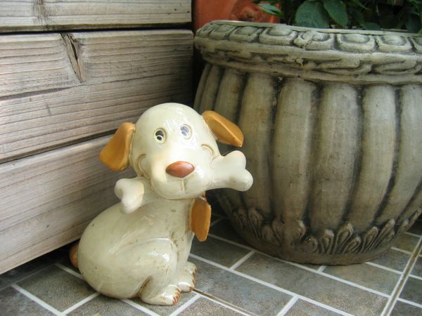 ��ʳ���������û�������(������԰СƷ)