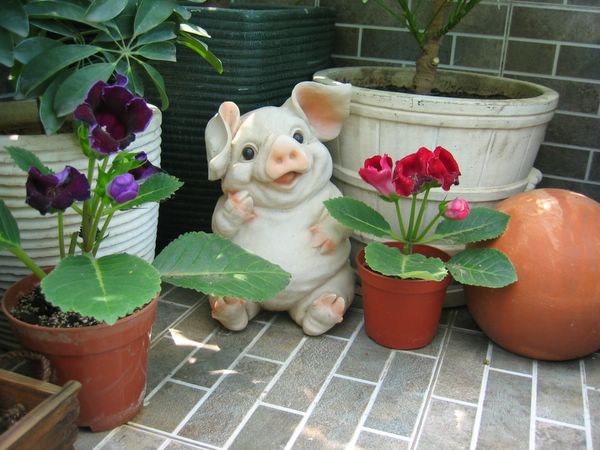 ��ʳ���������û�������(������԰СƷ)