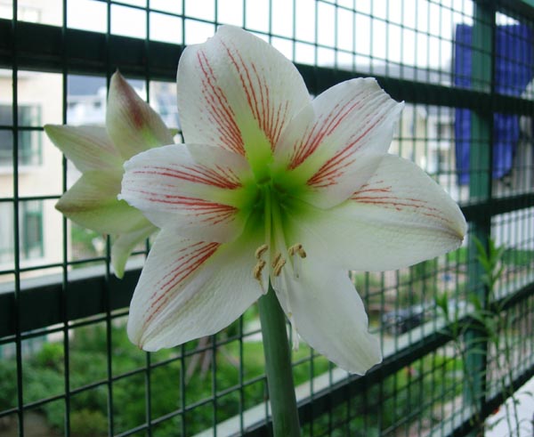 Ҳ������Ψһ����