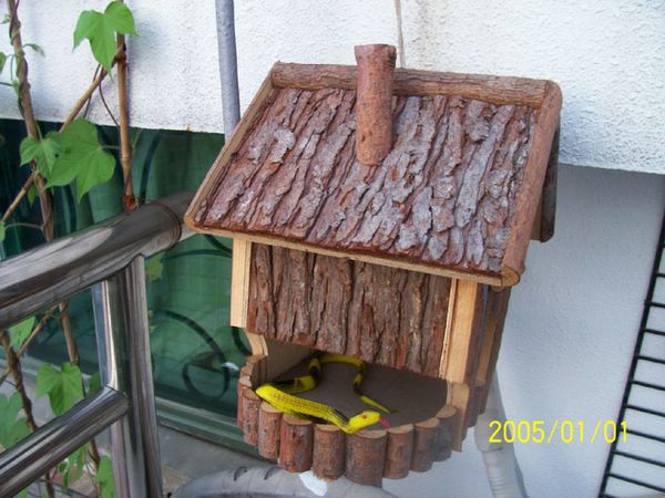 ��ʳ���������û�������(������԰СƷ)