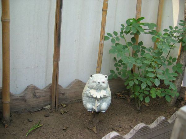 ��ʳ���������û�������(������԰СƷ)