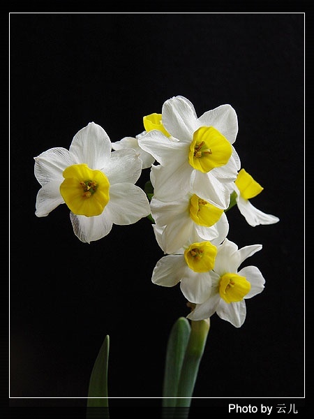 ����ƪ----�¹���������