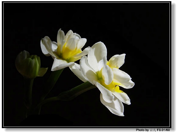 ����ƪ----�¹���������