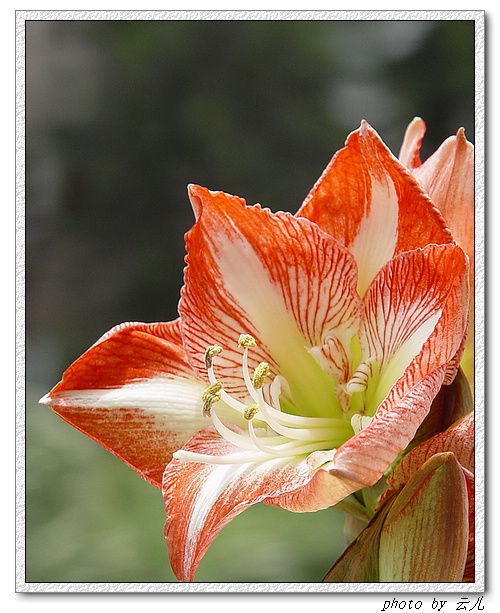 ����ƪ----�¹���������