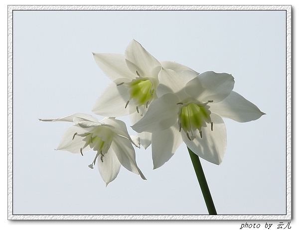 ����ƪ----�¹���������