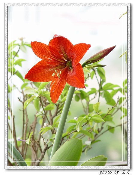 ����ƪ----�¹���������