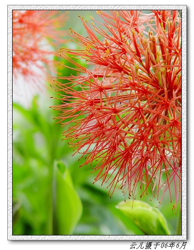 ����ƪ----�¹���������