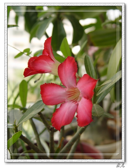 �۵ġ��Ƶġ��׵ġ�����������