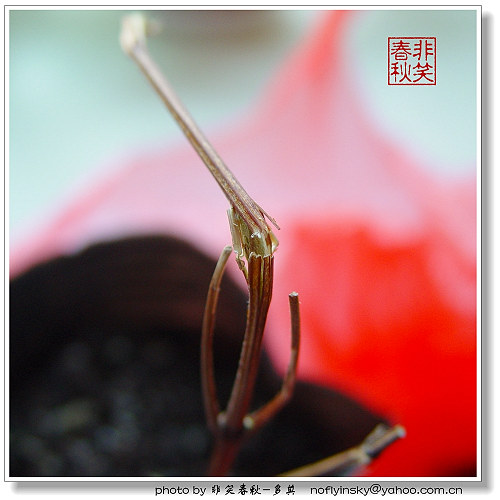 weiwei����������EMS�ĳ�