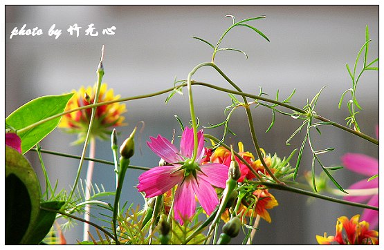 ���������ʹ