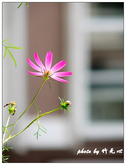 ���������ʹ