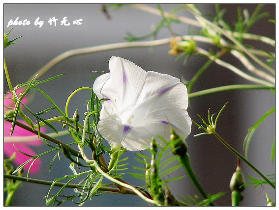 ���������ʹ