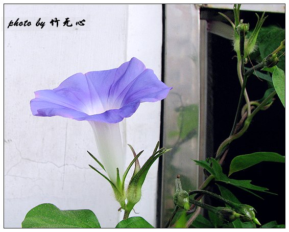 ���������ʹ