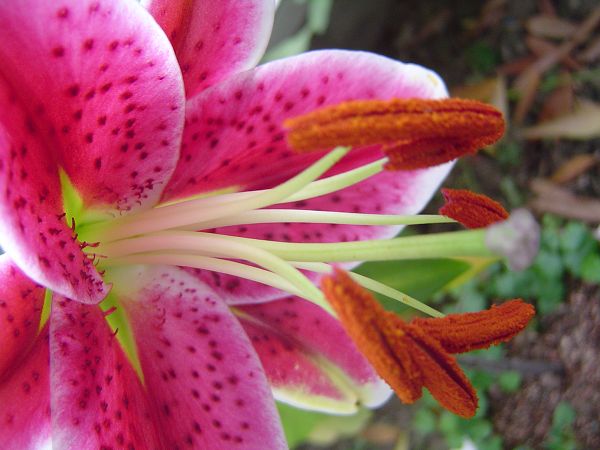 �ݻ����Ŷ�