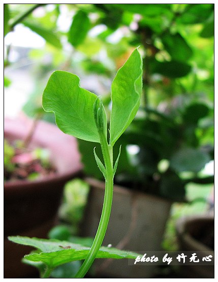 ���������ʹ