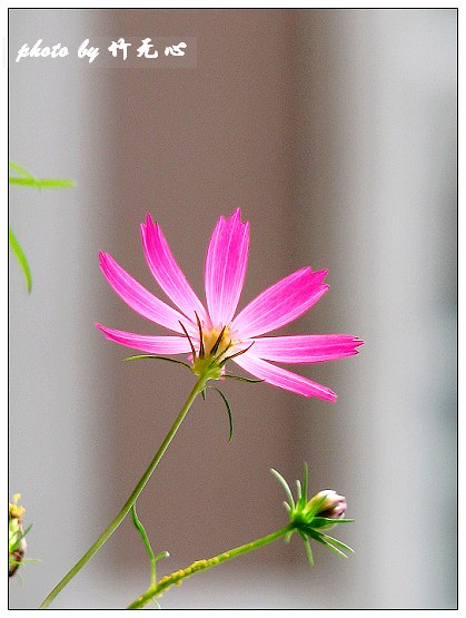 ���������ʹ