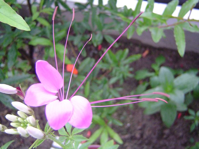 �ݻ����Ŷӣ���л�������������ӵĻ��ѣ�