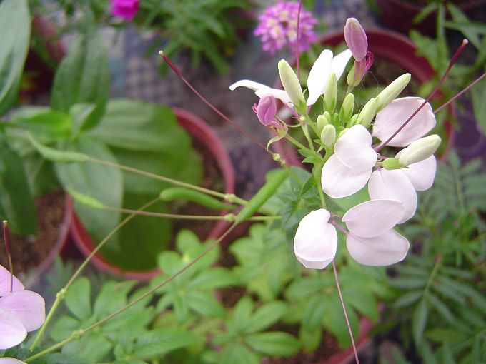 �ݻ����Ŷӣ���л�������������ӵĻ��ѣ�