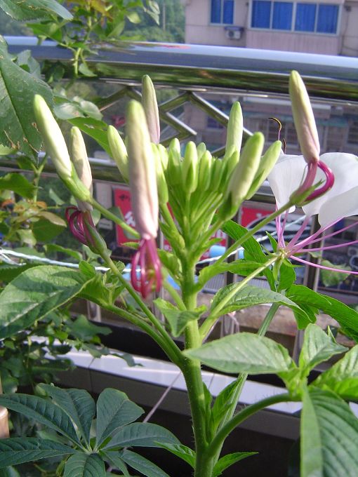 �ݻ����Ŷӣ���л�������������ӵĻ��ѣ�