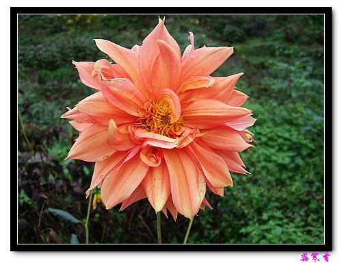 �ֿ�������