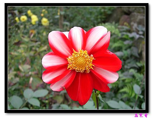 �ֿ�������