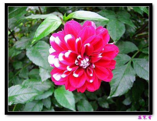 �ֿ�������