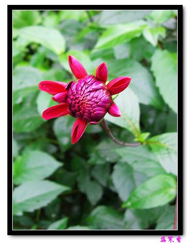 �ֿ�������