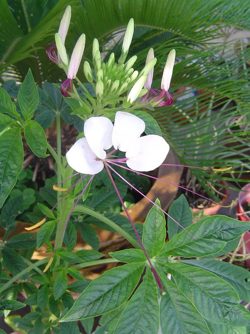 �ݻ����Ŷӣ���л�������������ӵĻ��ѣ�