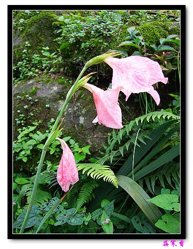 �ֿ�������