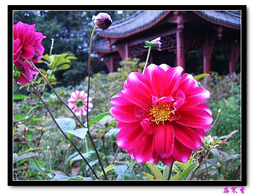 �ֿ�������