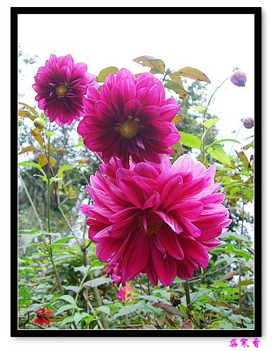 �ֿ�������