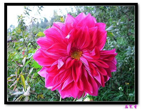 �ֿ�������