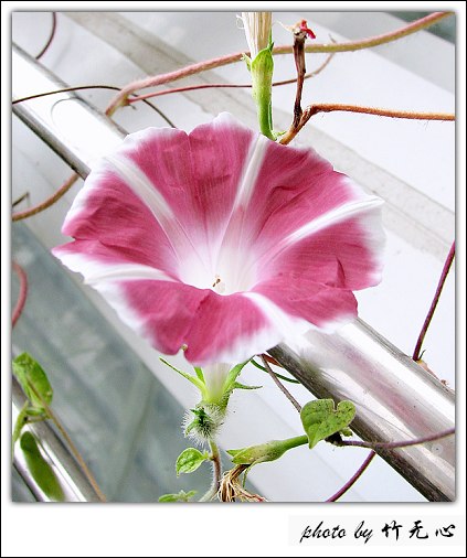 ���������ʹ