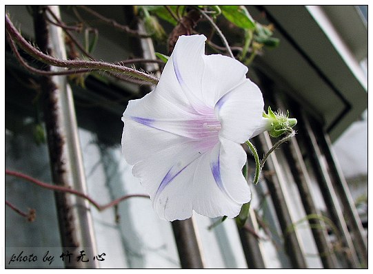 ���������ʹ