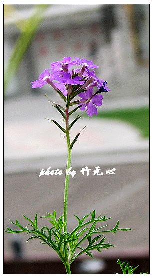 ���������ʹ