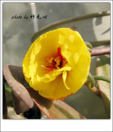 ���������ʹ