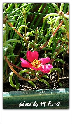 ���������ʹ