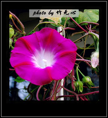 ���������ʹ