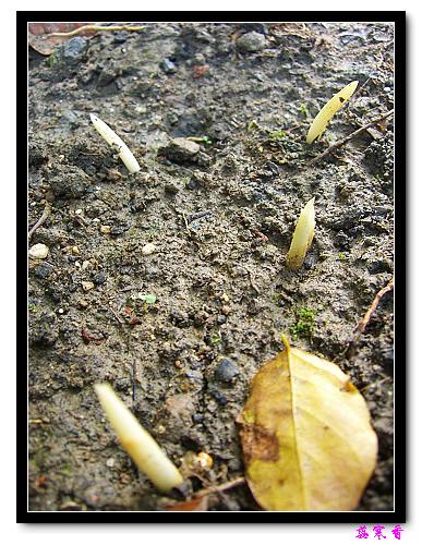 ������!P7:�غ컨,����,�����ݿ�ʼ��ѿ��