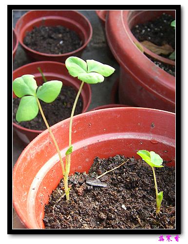 ������!P7:�غ컨,����,�����ݿ�ʼ��ѿ��