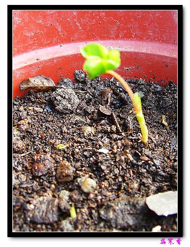 ������!P7:�غ컨,����,�����ݿ�ʼ��ѿ��