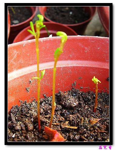 ������!P7:�غ컨,����,�����ݿ�ʼ��ѿ��